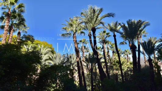 Achat appartement Contemporain Marrakech