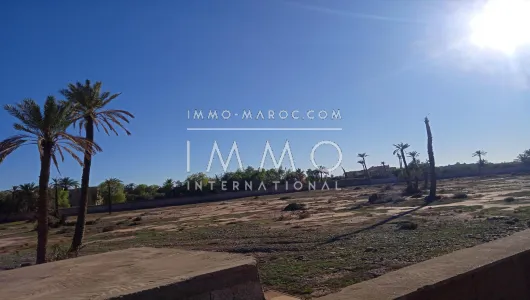 Vente terrain Terrain villa Marrakech Palmeraie Palmariva – Dar tounsi