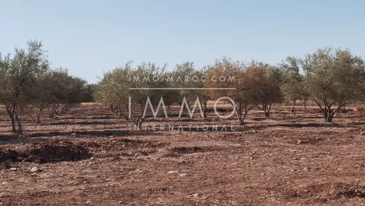 purchase plot Land villa Marrakech Exterior Route Ourika