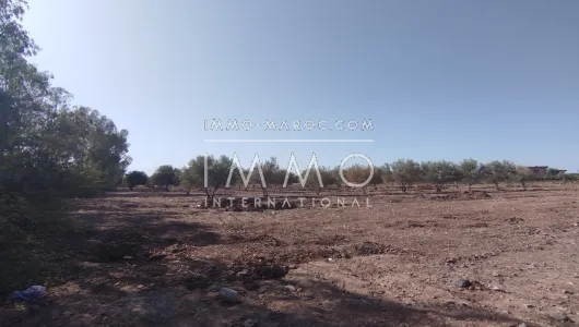 Sale site Ground villa Marrakech Exterior Route Ourika