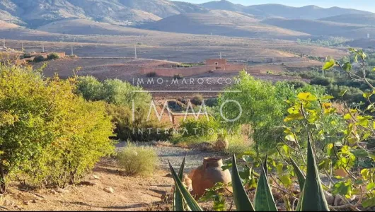 achat terrain Terrain a lotir Marrakech Extérieur Autres Extérieur