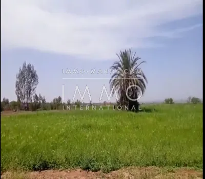 achat terrain Terrain a lotir Marrakech Extérieur Autres Extérieur