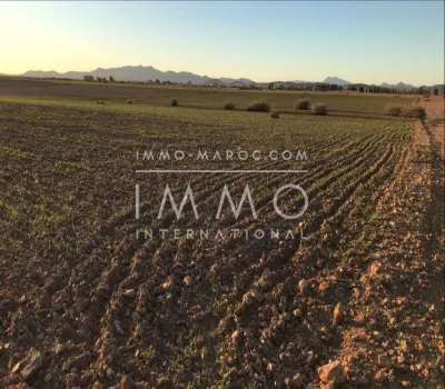 Vente terrain Terrain a lotir Marrakech Extérieur Autres Extérieur