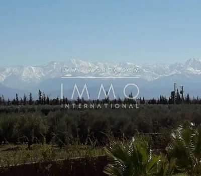 achat terrain Terrain a lotir Marrakech Extérieur Autres Extérieur