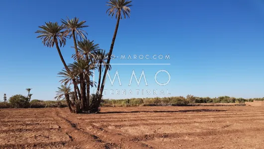 Vente terrain Terrain villa Marrakech Extérieur Route Fes