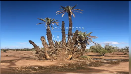 achat terrain Terrain villa Marrakech Extérieur Route Fes