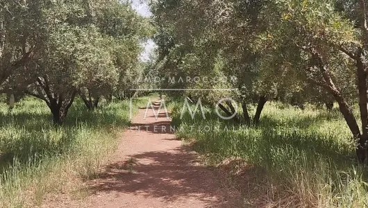 Vente terrain Terrain villa Marrakech Extérieur Route Ourika