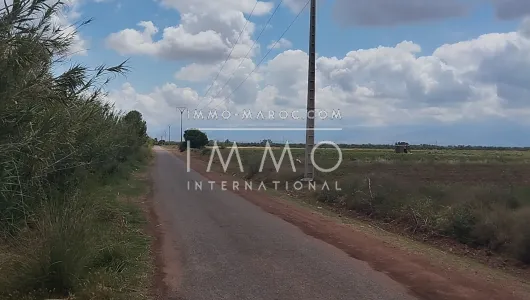 achat terrain Terrain villa Marrakech Extérieur Route Ourika