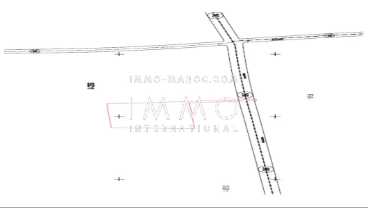 achat terrain Terrain villa Marrakech Extérieur Route Ourika