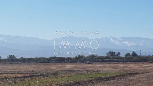 Terrain à vendre Terrain villa Marrakech Extérieur Route Amizmiz