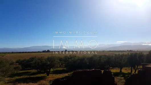 achat terrain Terrain villa Marrakech Extérieur Route Ourika