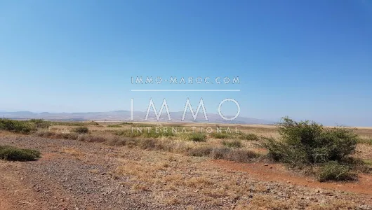Terrain à vendre Maison d'hôtes Marrakech Extérieur Route Amizmiz