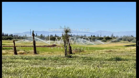 achat terrain Terrain villa Marrakech Golfs GOLF ARGANA