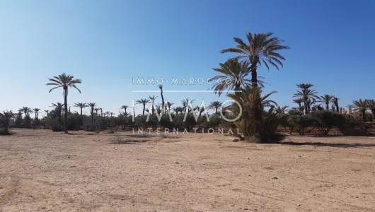 achat terrain Terrain villa Marrakech Extérieur Autres Extérieur Autres Centre ville