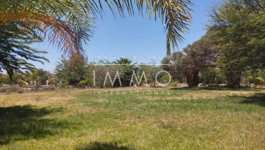 achat terrain Ferme Marrakech Extérieur Route Ourika