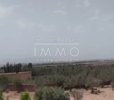 Terrain à vendre Terrain villa Marrakech Extérieur Route Ourika