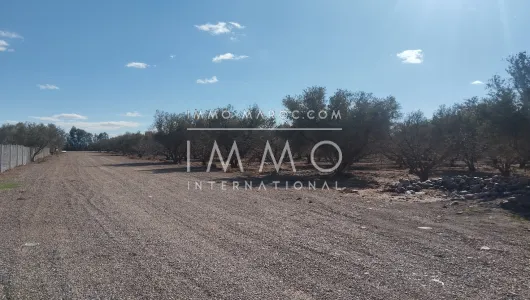 Vente terrain Terrain villa Marrakech Extérieur Route Ouarzazate