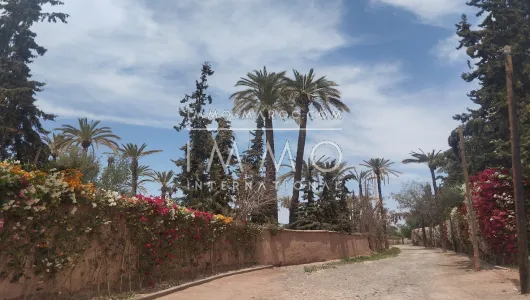 Terrain à vendre Terrain villa Marrakech Extérieur Route Ouarzazate