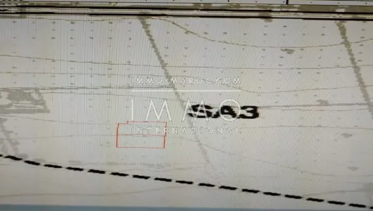 Terrain à vendre Terrain villa Marrakech Extérieur Route Ouarzazate