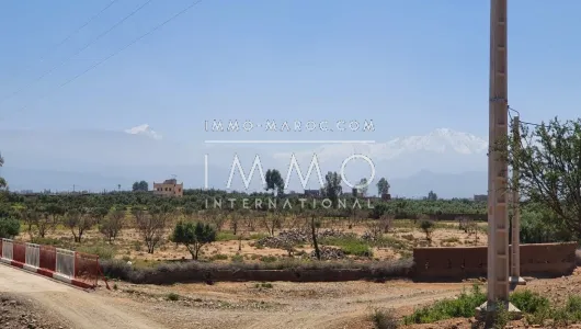 Vente terrain Terrain villa Marrakech Extérieur Route Ourika