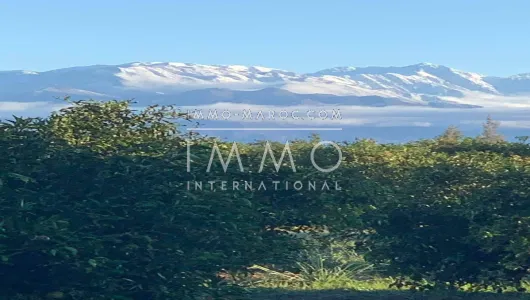 achat terrain Terrain villa Marrakech Extérieur Route Ourika