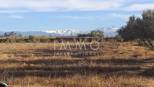 Vente terrain Terrain villa Marrakech Extérieur Route Ourika