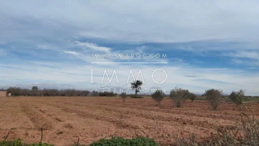 Terrain à vendre Terrain villa Marrakech Extérieur Route Ourika