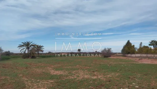 achat terrain Terrain villa Marrakech Extérieur Route Ourika