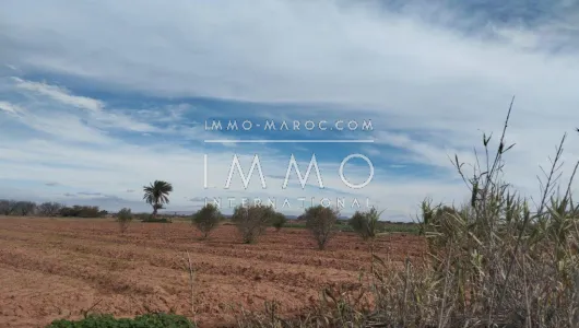 Terrain à vendre Terrain villa Marrakech Extérieur Route Ourika