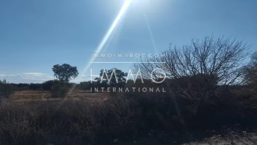 Terrain à vendre Terrain villa Marrakech Extérieur Route Ourika