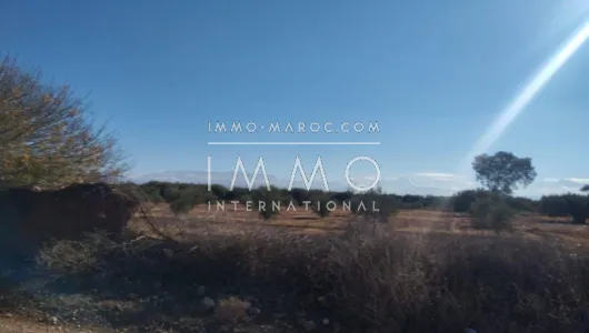 Vente terrain Terrain villa Marrakech Extérieur Route Ourika