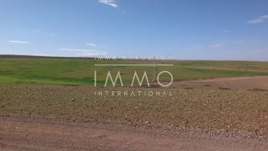 Terrain à vendre Terrain villa Marrakech Extérieur Route Amizmiz