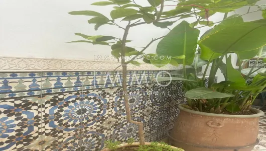 riad vente Marrakech