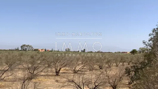Vente terrain Marrakech Route Fes