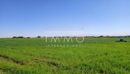 achat terrain Terrain a lotir Marrakech Extérieur Route Ourika