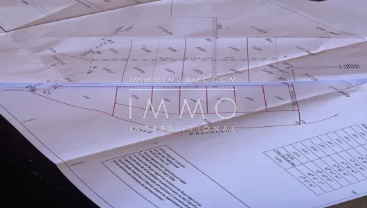 achat terrain Terrain a lotir Marrakech Extérieur Route Ourika