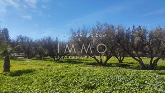 Vente terrain Terrain a lotir Marrakech Extérieur Route Ourika