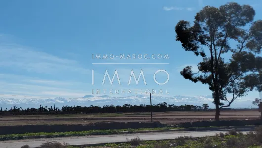 achat terrain Terrain villa Marrakech Extérieur Route Ouarzazate